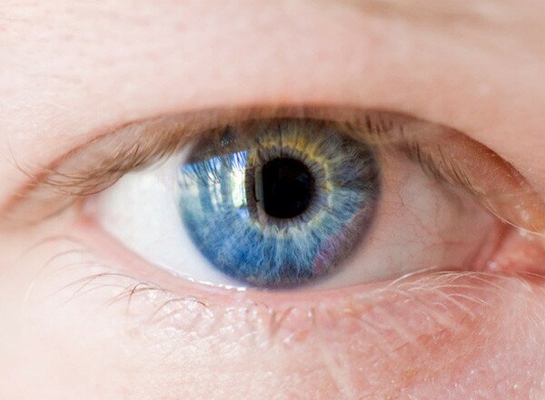 Мировая медицина пока бессильна в излечении глаукомы, считает эксперт